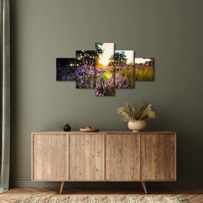 Obraz pola lawendy (125x70 cm)