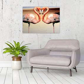 Obraz - dwa flamingi (70x50 cm)