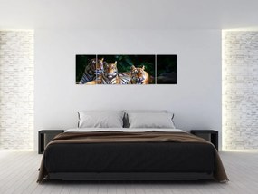 Obraz - Tygrysi Bracia (170x50 cm)