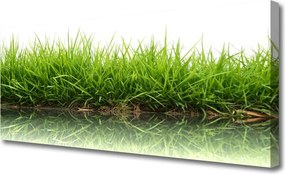 Zdjęcie na płótnie Świeżość Trawy nad Wodą