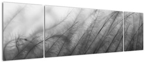 Obraz - Trawa na wietrze (170x50 cm)