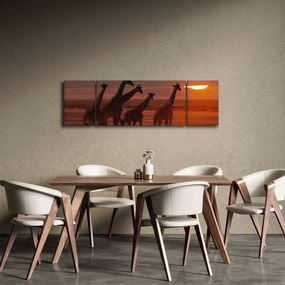Obraz - Żyrafy na afrykańskiej sawannie (170x50 cm)