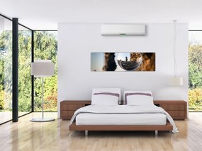 Obraz lupy i krajobrazu (170x50 cm)