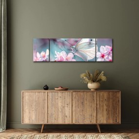Obraz - Motyl na drzewie wiśni (170x50 cm)