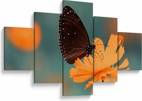 Obraz - motyl na pomarańczowym kwiatku (125x70 cm)