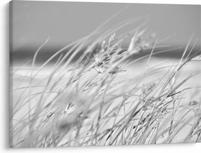 Obraz - Trawa plażowa (70x50 cm)