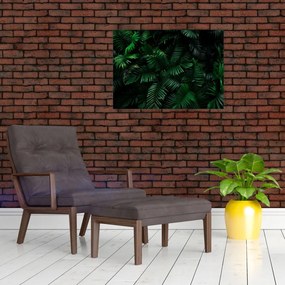 Obraz - Paprocie tropikalne (70x50 cm)