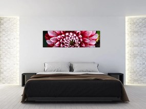 Obraz różowej dalii (170x50 cm)