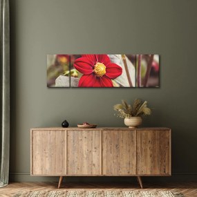 Obraz kwiatu (170x50 cm)