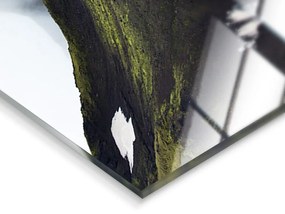 Szklany obraz 120x80 cm Fjallabak – Styler