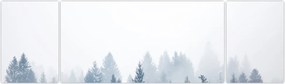 Obraz - Mglisty las (170x50 cm)