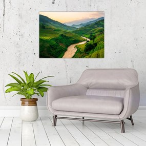 Obraz na szkle - Tarasy ryżowe II. (70x50 cm)