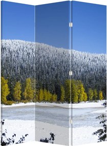 Parawan - Śnieżne góry zimą (126x170 cm)
