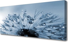 Obraz canvas Dmuchawiec w Porannej Rosie