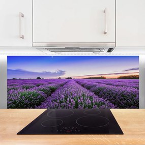 Panel Kuchenny Letnia Łąka Pełna Kwiatów