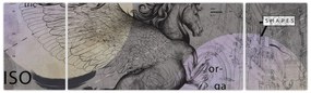 Obraz - Design (170x50 cm)
