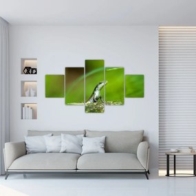 Obraz jaszczurki (125x70 cm)