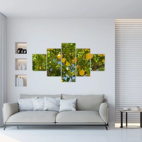 Obraz - Drzewo cytrynowe (125x70 cm)