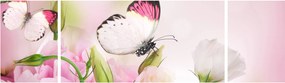 Obraz - Motyl (170x50 cm)