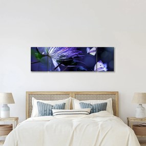 Obraz - Tropikalny kwiat (170x50 cm)