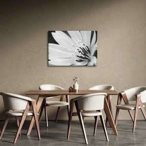 Obraz - Czarno-biały kwiat (70x50 cm)