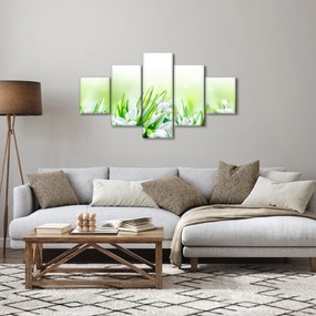 Obraz - Przebiśniegi (125x70 cm)