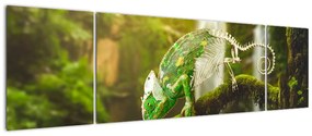 Obraz kameleona (170x50 cm)