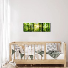 Obraz - Świt w lesie (z zegarem) (90x30 cm)