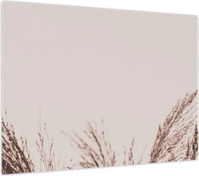 Obraz - Suszona trawa (70x50 cm)