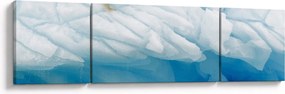 Obraz - Niedźwiedź polarny (170x50 cm)