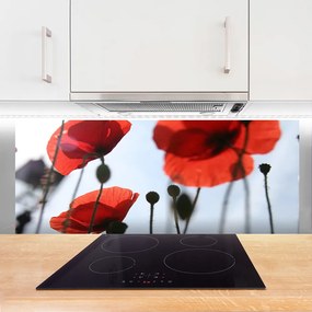 Panel Kuchenny Polne Maki W Rozkwicie