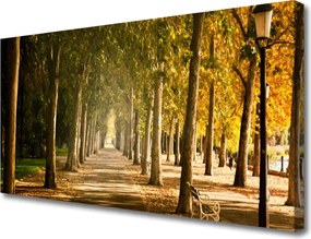 Obraz na płótnie Romantyczna Parkowa Alejka