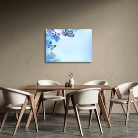 Obraz - Motyl na kwiatach orchidei, niebieski (70x50 cm)