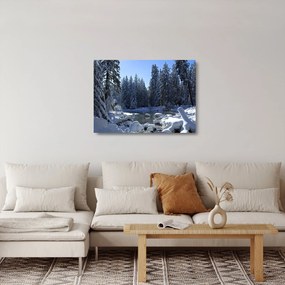 Obraz na szkle - śnieżny las (70x50 cm)