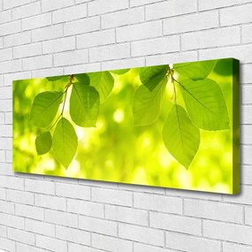 Obraz na płótnie Zielone Liście w Stylu Modern