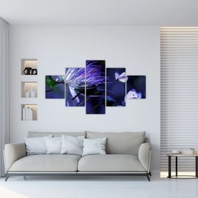 Obraz - Tropikalny kwiat (125x70 cm)