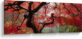 Obraz czerwonego klonu japońskiego, Portland, Oregon (z zegarem) (90x30 cm)