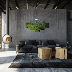 Obraz tarasów ryżowych Tegalalang, Bali (125x70 cm)