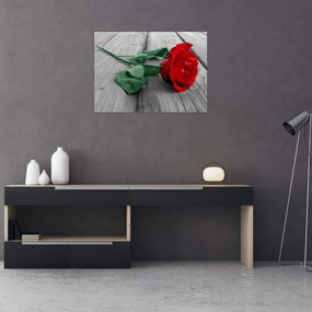 Obraz na szkle - Czerwona róża z zieloną łodygą (70x50 cm)