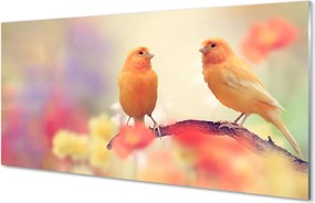 Panel szklany do Kuchni Rodzina Kolorowych Papug