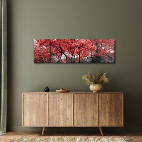 Obraz - Czerwone drzewa, Central Park, New York (170x50 cm)