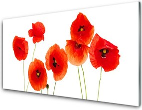 Panel Szklany Rozkwit Czerwonych Maków