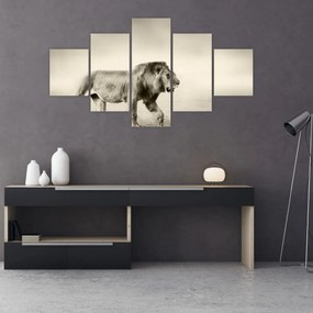 Obraz - Głodny lew (125x70 cm)