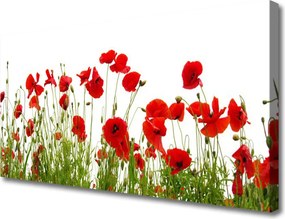Obraz canvas na ścianę Czerwone Maki w Letnim Polu