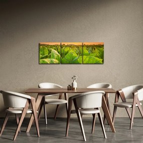 Obraz - Pole (z zegarem) (90x30 cm)