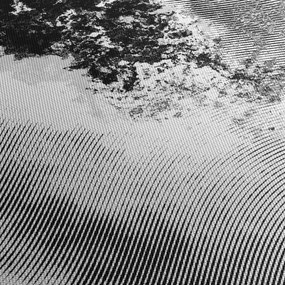 Obraz - Wylęg (170x50 cm)