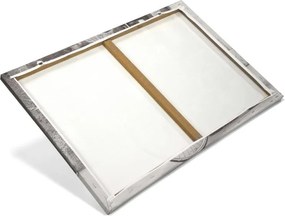 Obraz poinsecja, 40 x 60 cm