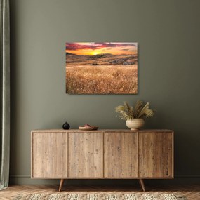 Obraz na szkle - pole (70x50 cm)