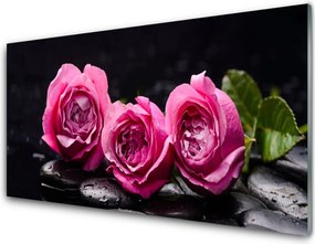 Panel Szklany Harmonia Zen: Róże i Skały