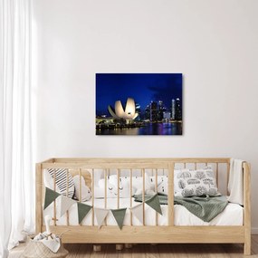 Obraz Singapuru nocą (70x50 cm)